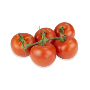 Zweig Tomate