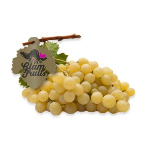 Aledo grape